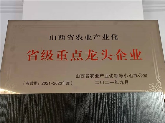 2021省级重点龙头企业