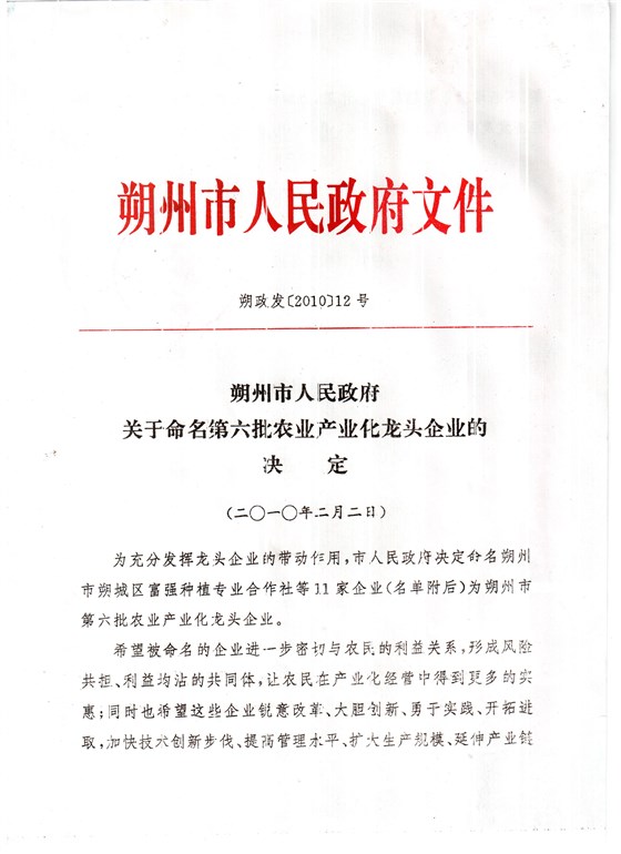 龙头企业文件1 (1)
