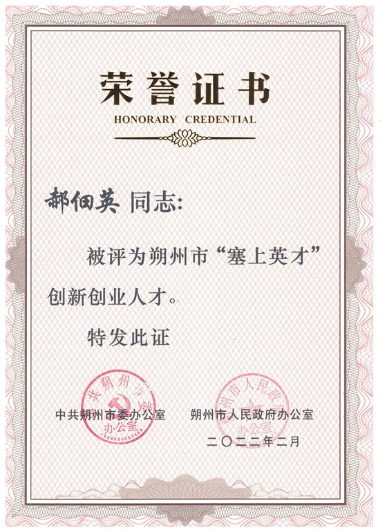 2022塞上英才奖