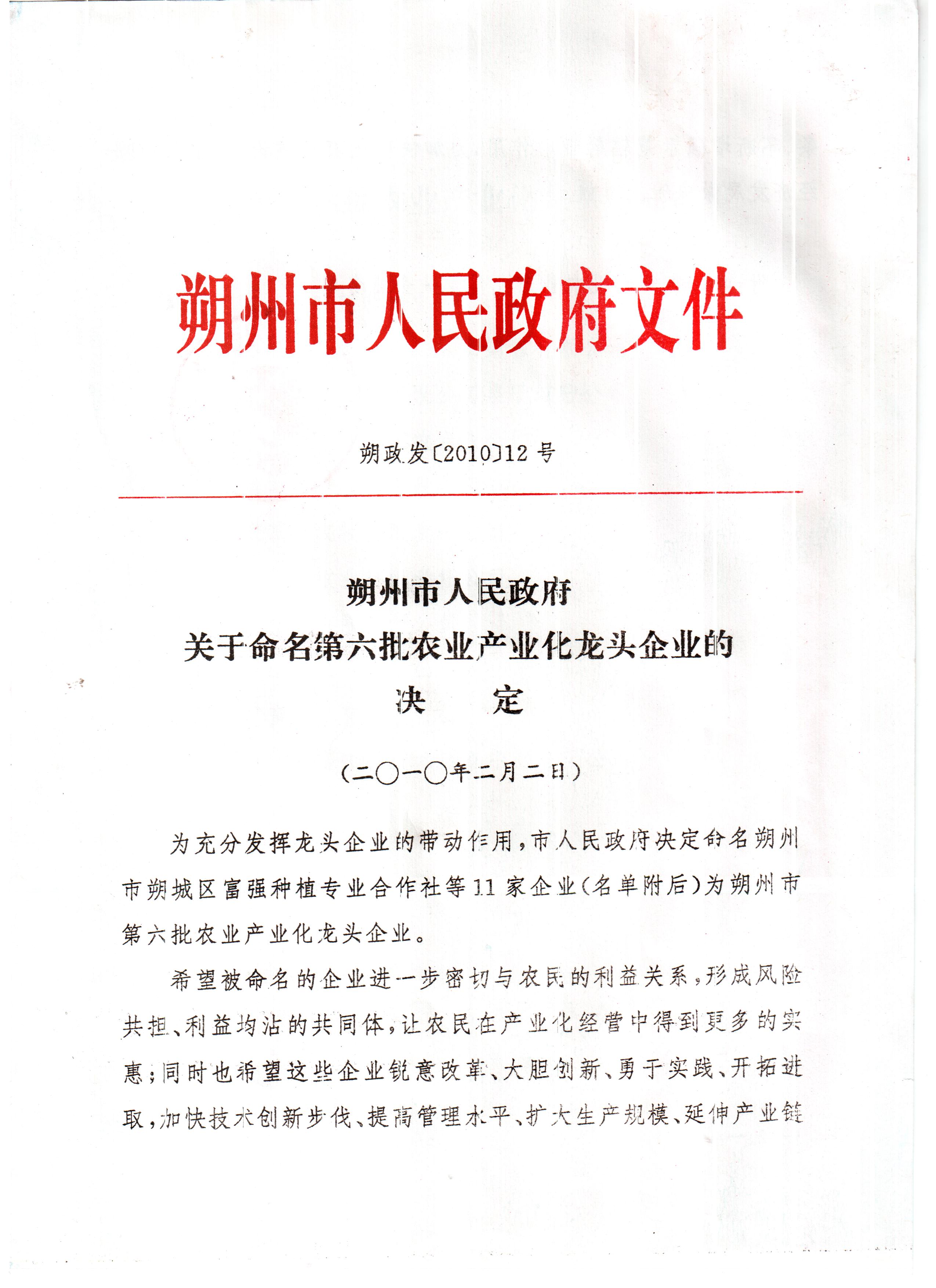 龙头企业文件1 (1)